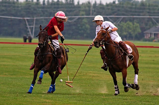 two polo players